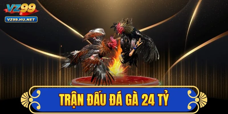 Trận Đấu Đá Gà 24 Tỷ